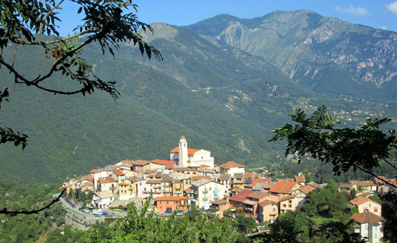 vaucluse bollene
