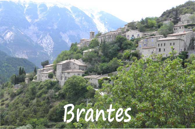 vaucluse brantes
