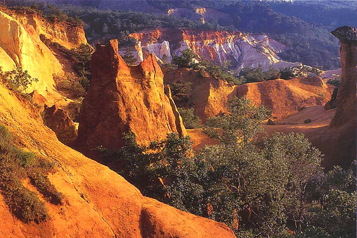 vaucluse colorado