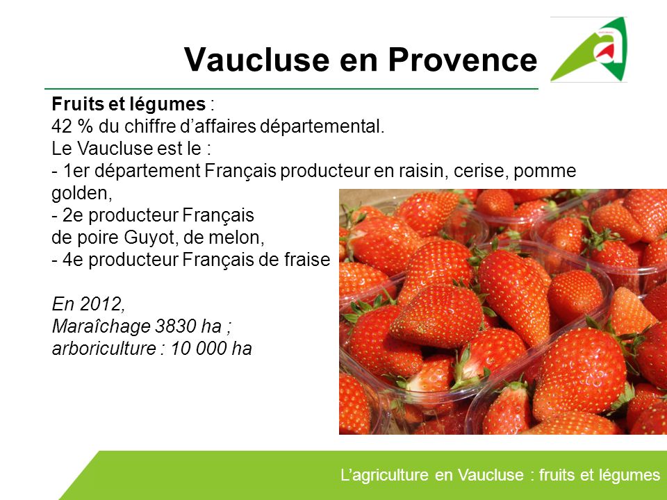 vaucluse fruits