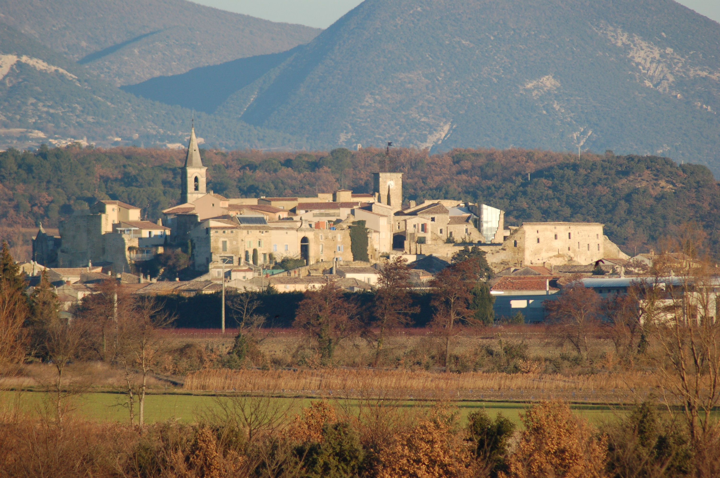 vaucluse grillon