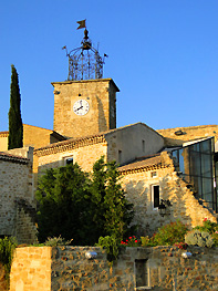 vaucluse grillon