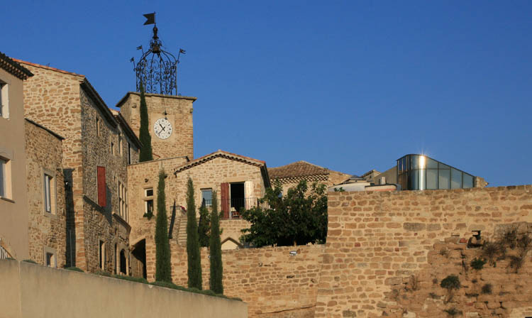 vaucluse grillon