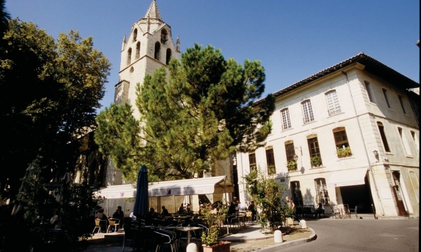 vaucluse guide touristique