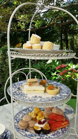 vaucluse high tea