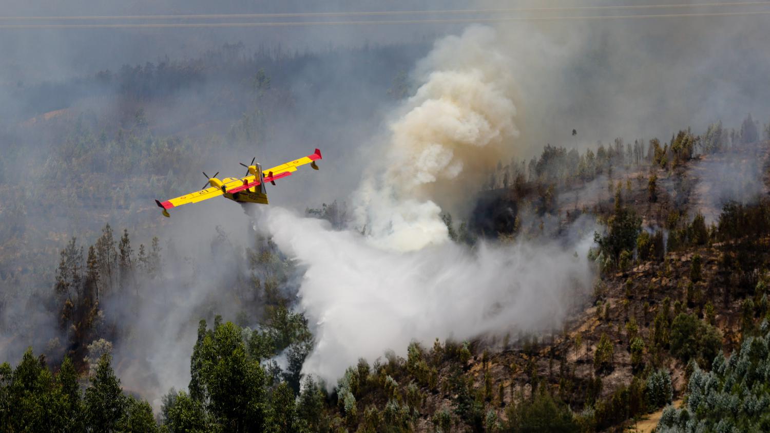 vaucluse incendie
