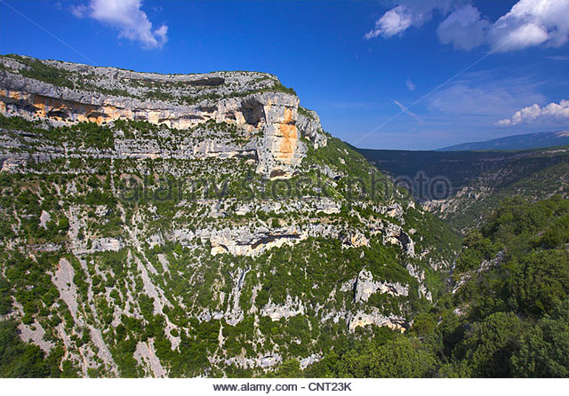 vaucluse m
