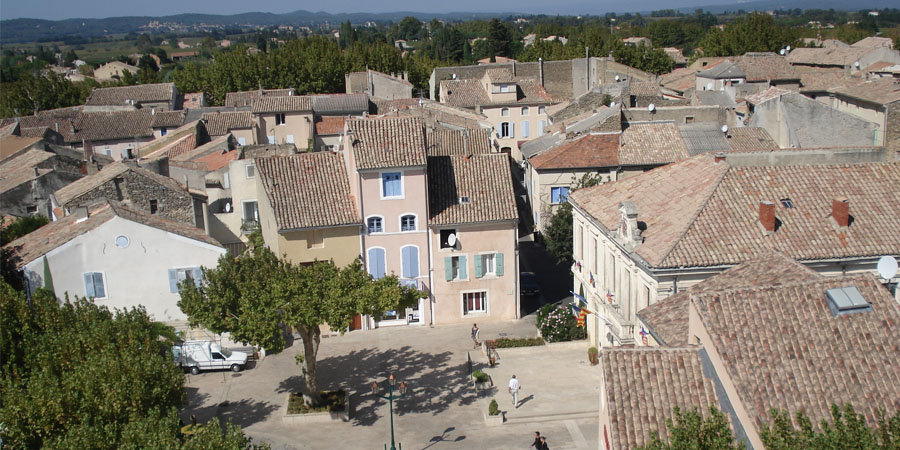 vaucluse matin sainte cecile les vignes
