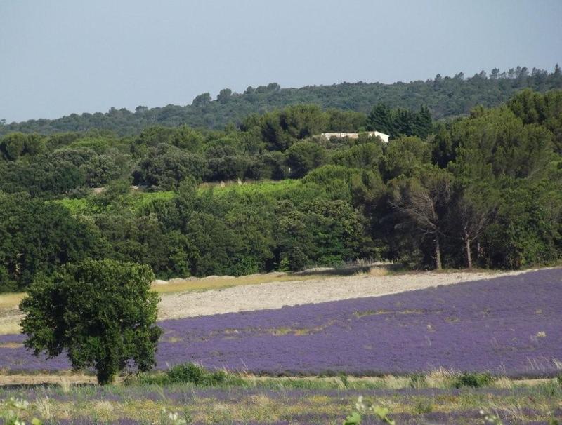 vaucluse matin uchaux