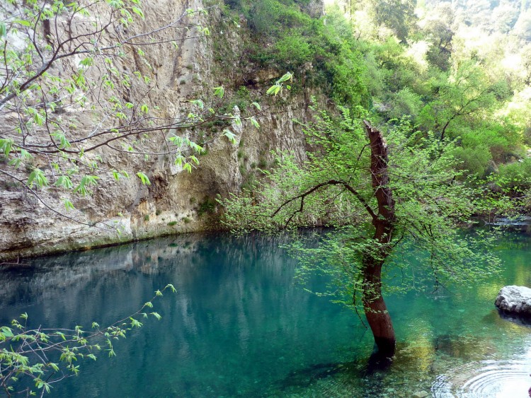 vaucluse nature