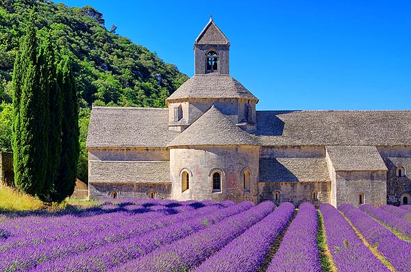 vaucluse nature