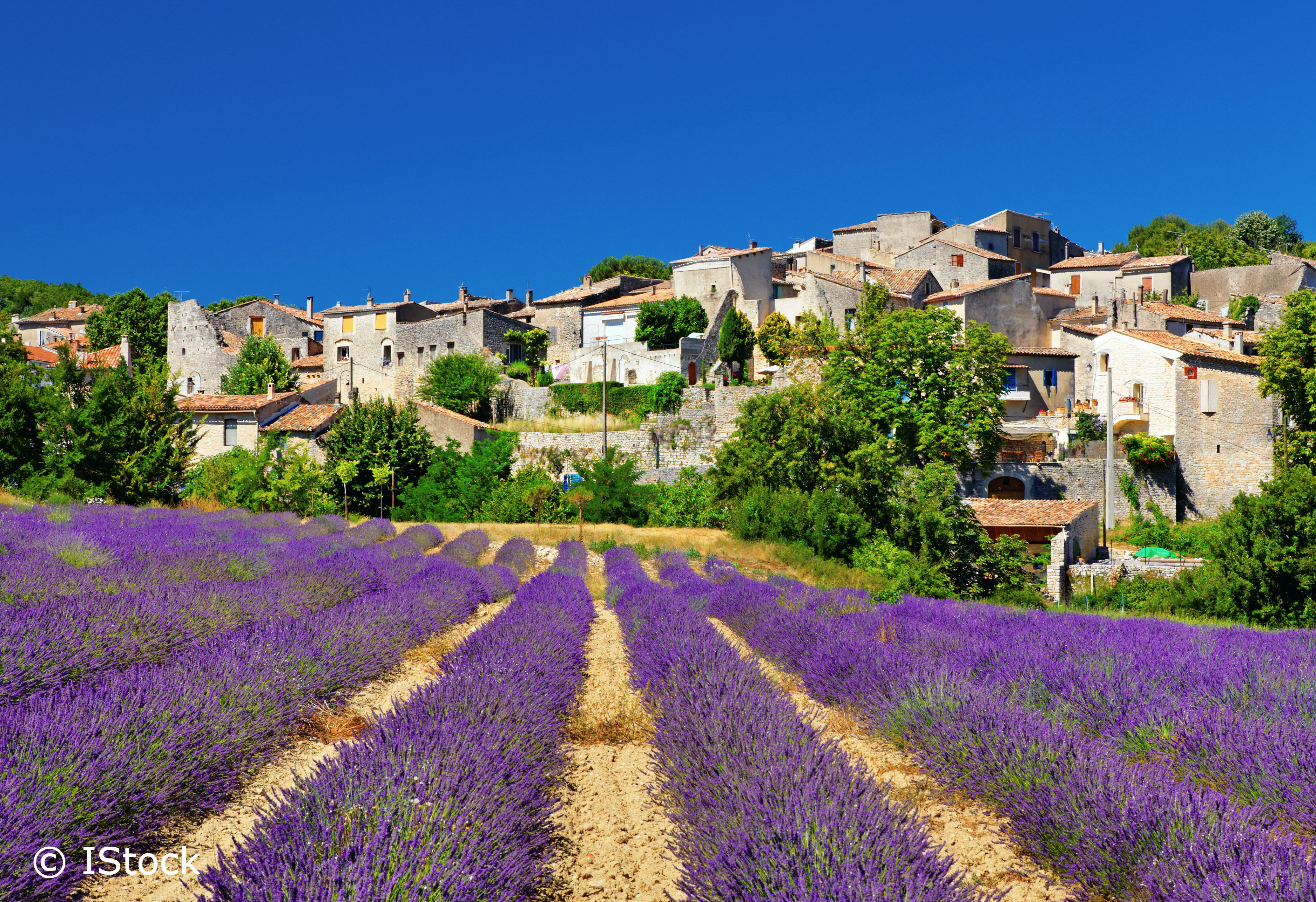 vaucluse photos