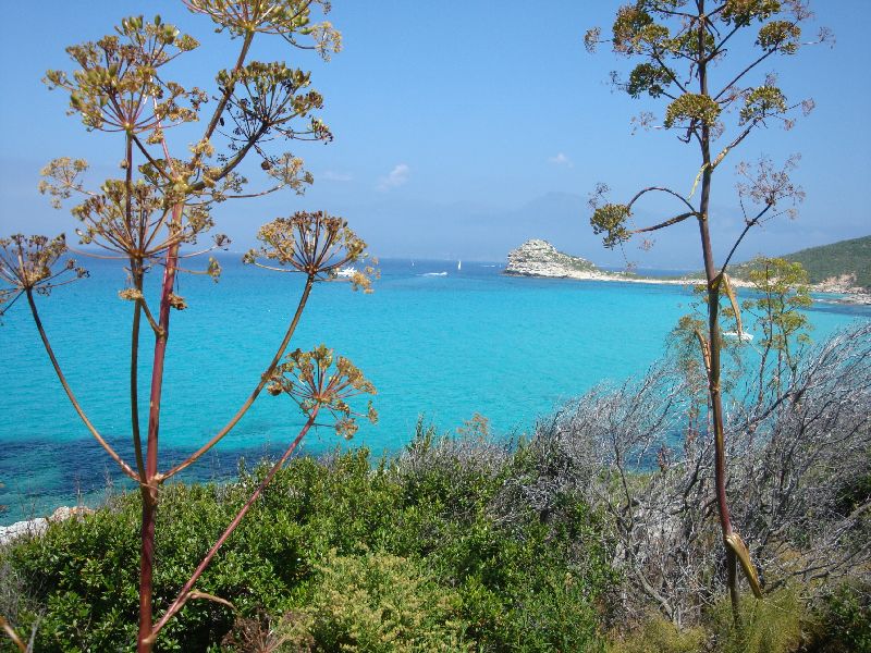 vaucluse plage