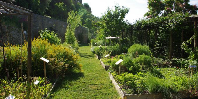 vaucluse que faire ce week end