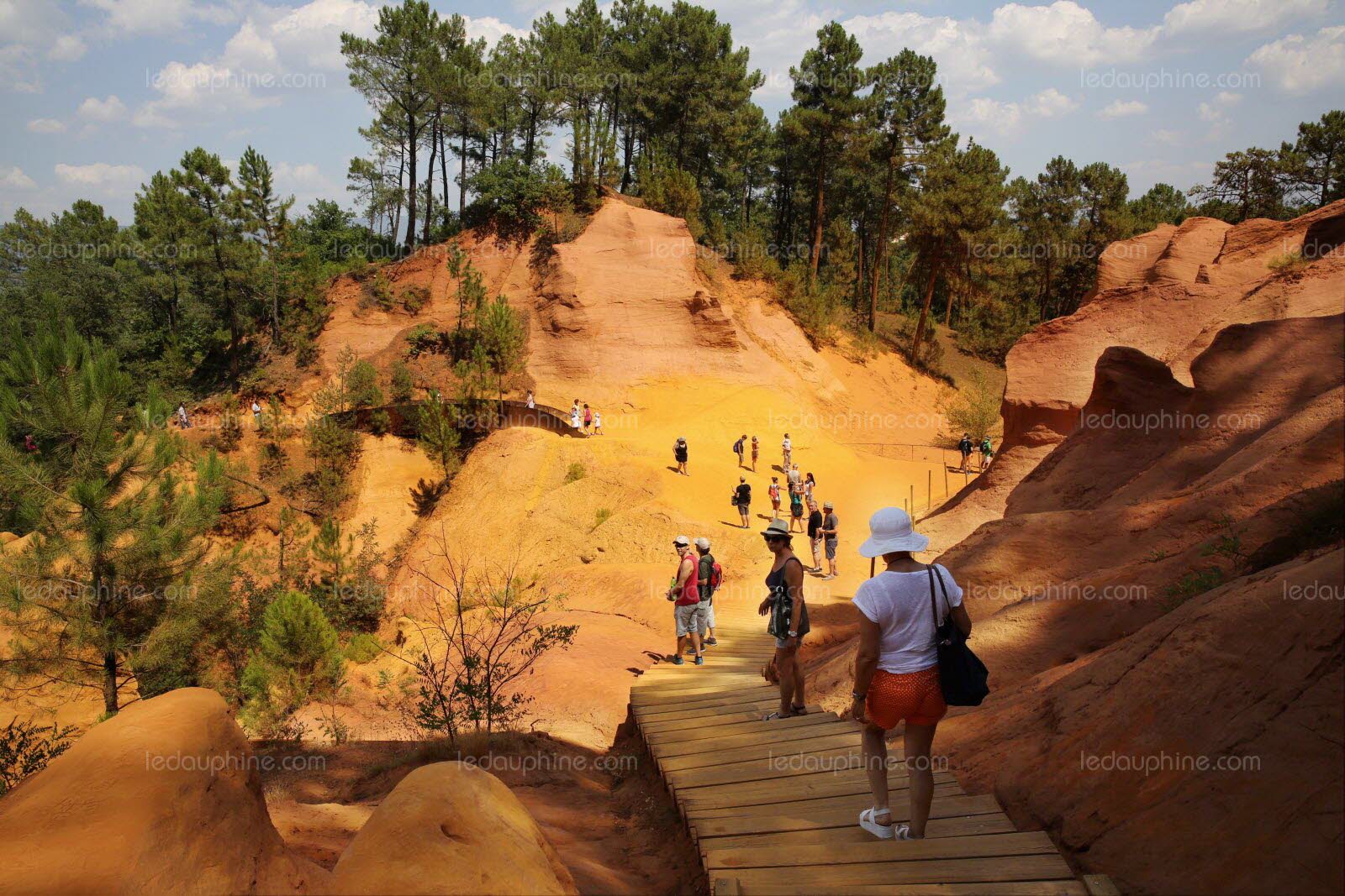 vaucluse que faire ce week end