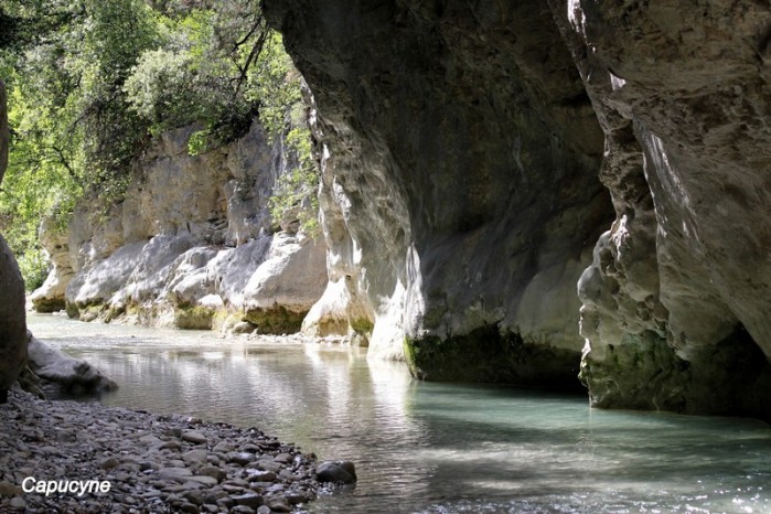 vaucluse que faire