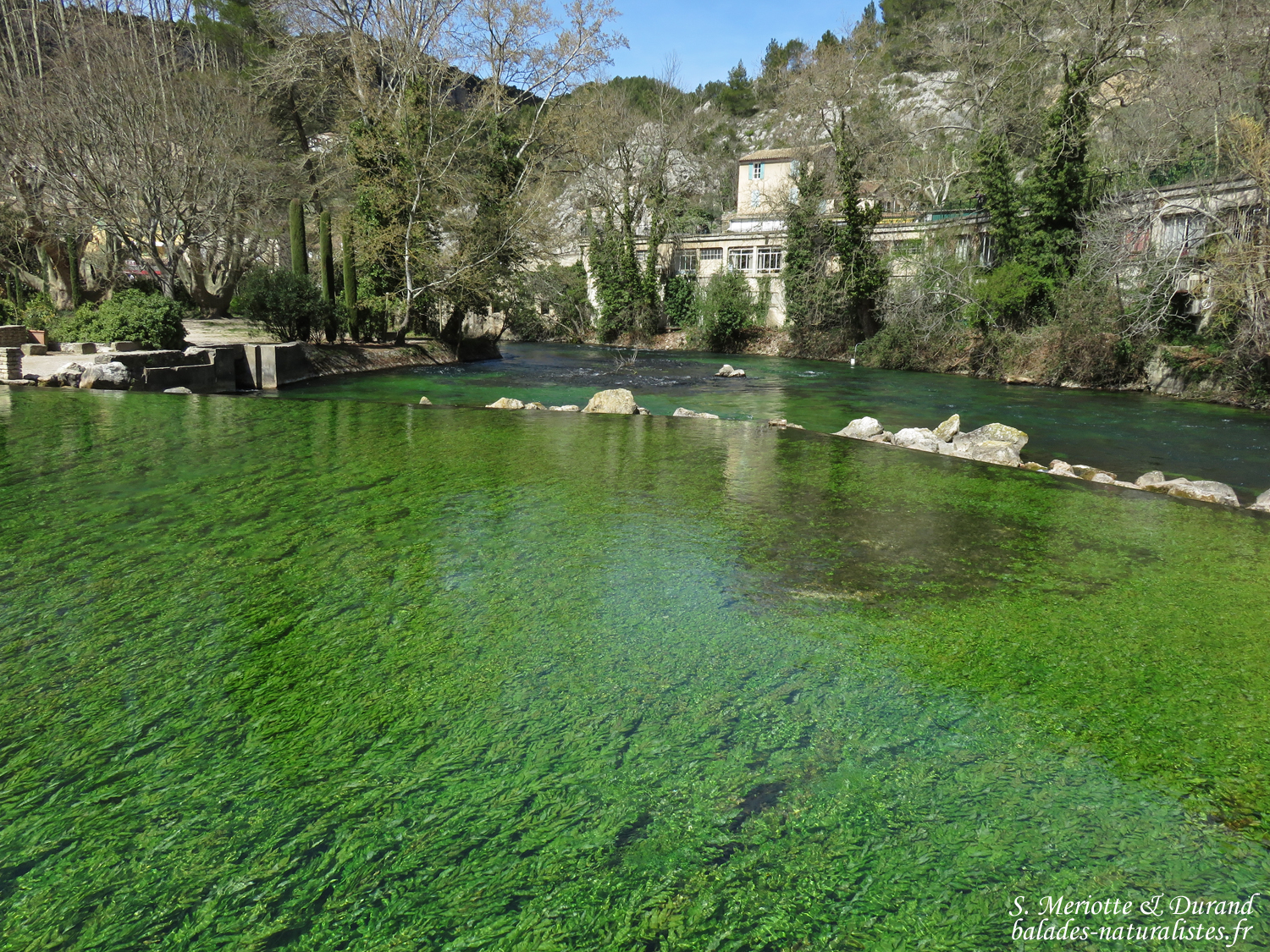 vaucluse sorgues