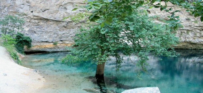 vaucluse sorgues