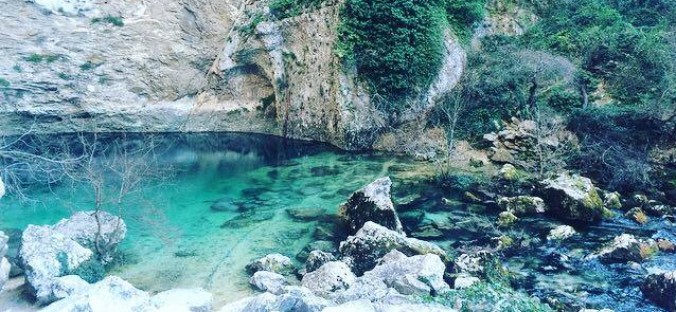 vaucluse sorgues