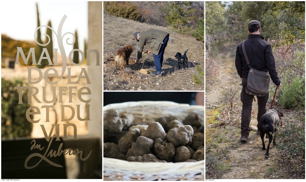 vaucluse sortie famille