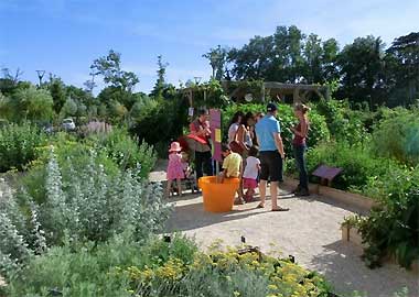 vaucluse sortie famille