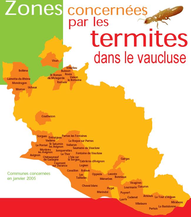vaucluse termites