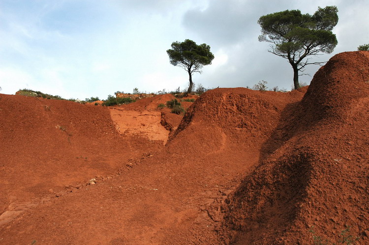 vaucluse terre rouge