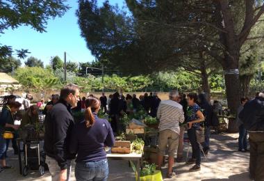 vaucluse tourisme agenda