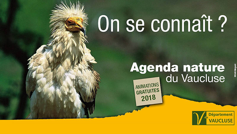 vaucluse tourisme agenda