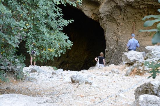 vaucluse tripadvisor