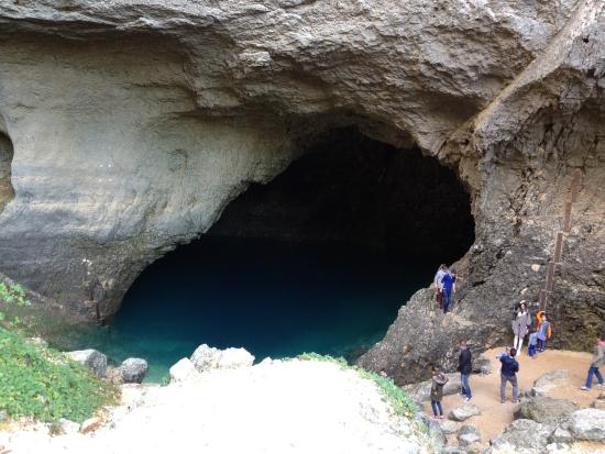 vaucluse tripadvisor