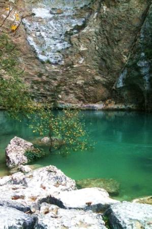 vaucluse tripadvisor