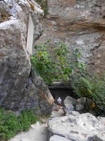 vaucluse tripadvisor