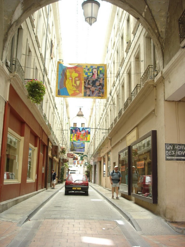 vaucluse voyages carpentras