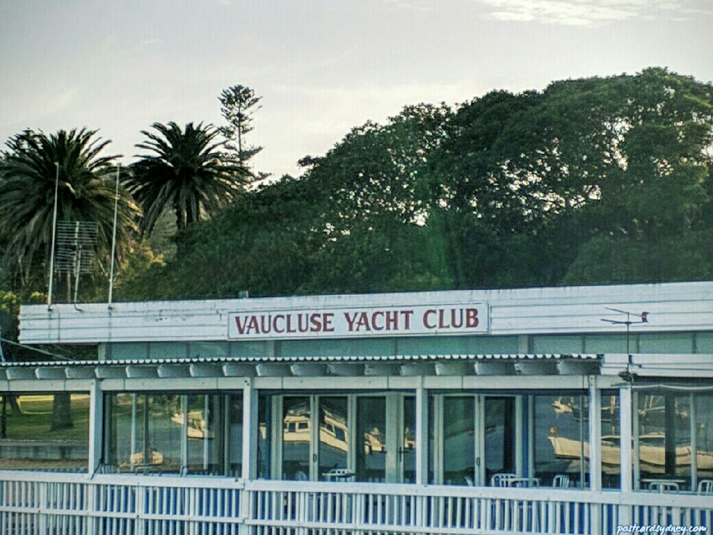 vaucluse yachy club