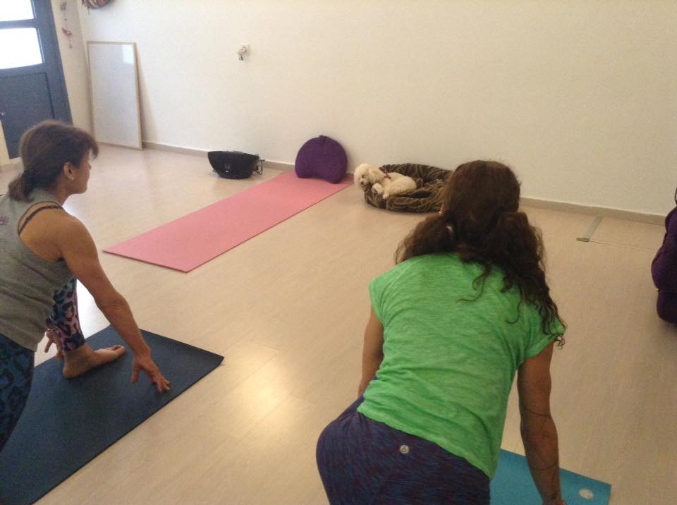 vaucluse yoga