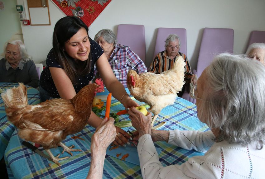 zootherapie vaucluse