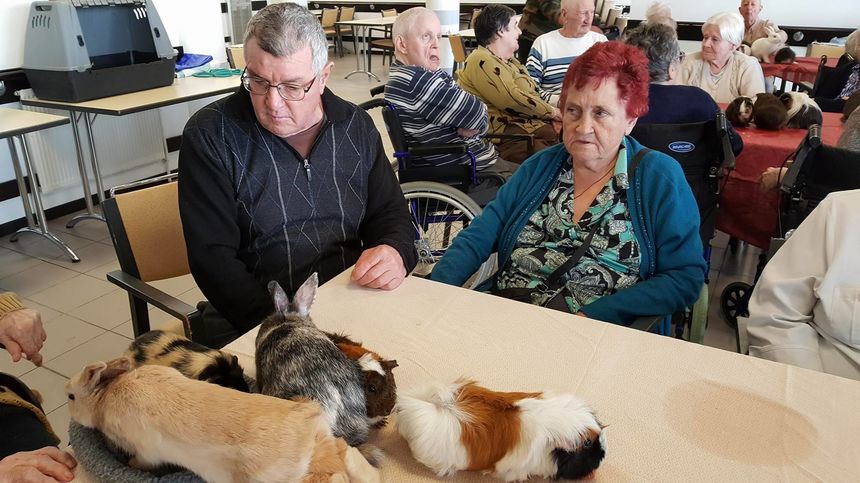zootherapie vaucluse