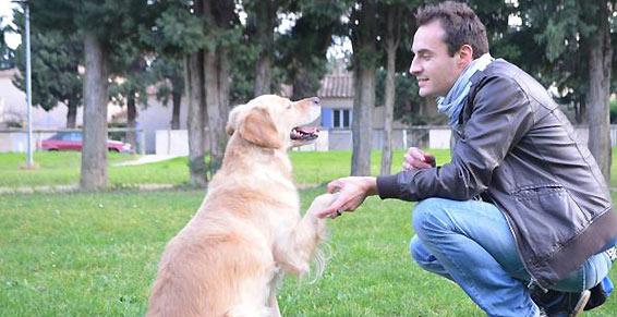 zootherapie vaucluse