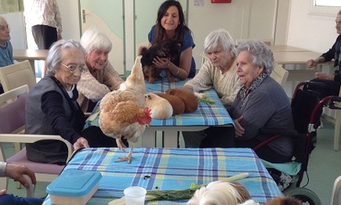 zootherapie vaucluse